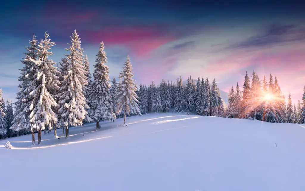 Winter wallpaper 3