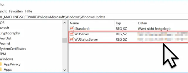 WSUS registry