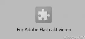 adobe flash flash jan.sottek