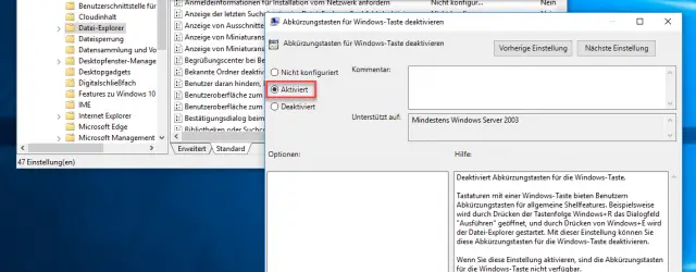 Disable shortcut keys for Windows key