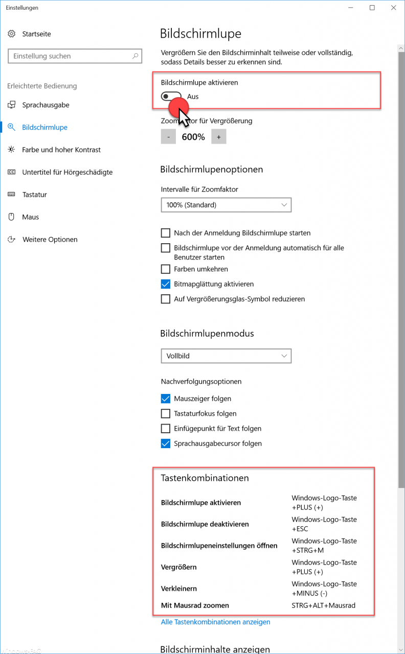 Activate screen magnifier