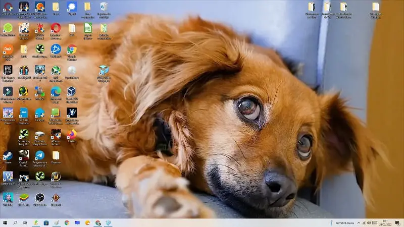 Add a dog as a desktop background.