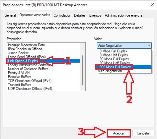 Max speed up Ethernet Windows 11.